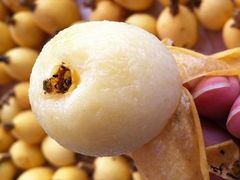 -西山樟坞健康果园枇杷杨梅采摘