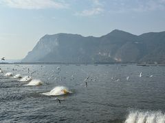 -海埂大坝