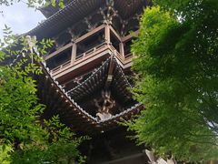 -杭州半山国家森林公园