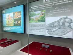 -嘉荫恐龙国家地质公园