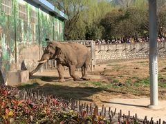 -西安秦岭野生动物园