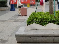 -靓靓蒸虾·头牌蒸虾(南山桂庙店)