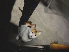 -1218 GRILL 主厨
