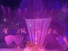 -广州长隆国际大马戏