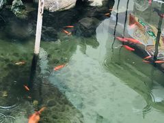 -利群海琴购物广场(商丘路店)