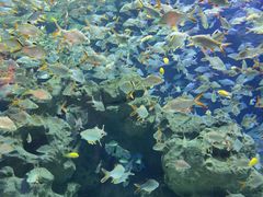 -成都浩海立方海洋公园