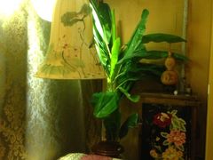 -喜艾堂艾灸馆(世贸天阶店)