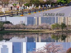 -西北湖绿化广场