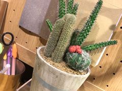 -九木杂物社(大族广场店)