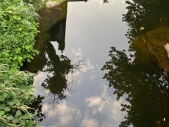 -老张烤羊(王哥庄店)