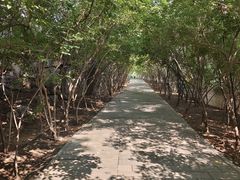 -石家庄市动物园