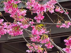 -梁鸿国家湿地公园