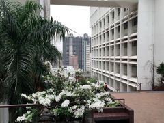-香港大学