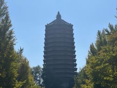 -玲珑塔公园