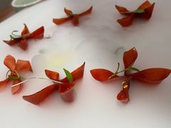 -荷风细雨·中国茶宴(碧云店)