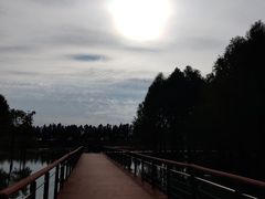 -贡湖湾湿地公园