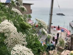 -东极岛景区
