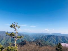 -牛背梁国家森林公园