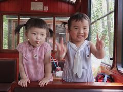 -合肥滨湖国家森林公园