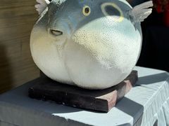 -肆月河豚·新淮扬(金融街店)