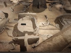 -洛阳周王城天子驾六博物馆