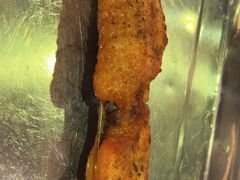 -紫光园(顺义店)