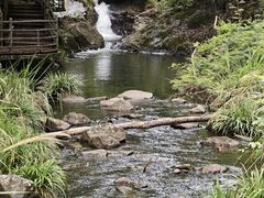 -梁野山景区