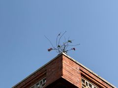 -龙头鱼丸店 只此一家只卖手工鲨鱼丸