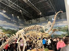 -自贡恐龙博物馆