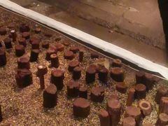 -元代水闸遗址博物馆