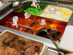 -海底捞火锅(吾悦广场店)