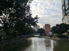 -晓港公园