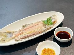 鱼饭-双生不夜粥
