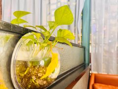 -渝乡辣婆婆·川菜 水煮鱼(中山西路店)