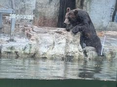 -广州长隆野生动物世界