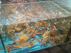 -蟹之国·精品蟹料理(极地店)