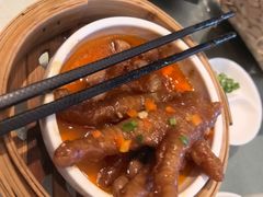 -千灯盛汇·头牌粤菜(致越优城店)