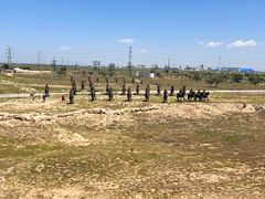 -水洞沟旅游区