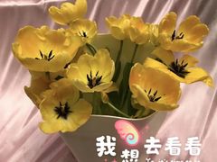 -百万葵园