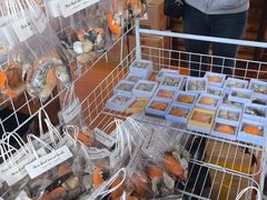 -蓝湾碧波·老字号·疍家非遗海上餐厅