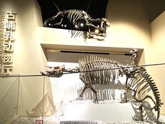 -国家自然博物馆