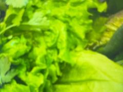 -老长春果木炭涮羊肉(东田·青年城店)