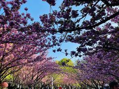 -苏州河梦清园环保主题公园