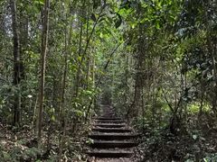 -武吉知马自然保护区