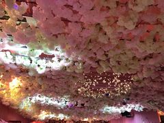 -pink baby·新晋网红打卡地