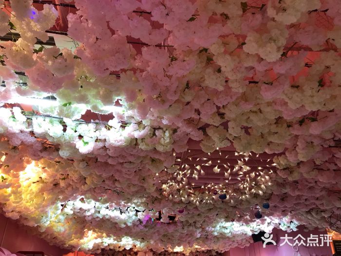 pink baby·新晋网红打卡地图片