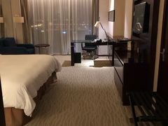 -上海浦东绿地铂骊酒店