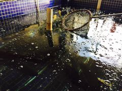 -三文彩虹鳟鱼庄
