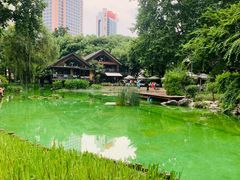 -静安公园(静安寺街道)