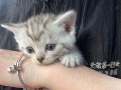 -太原东方动物医院(小店分院)